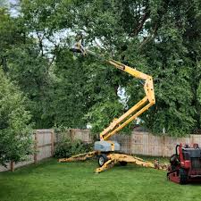 Best Soil Testing and Treatment  in West Islip, NY
