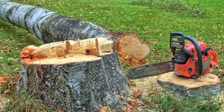 Best Hazardous Tree Removal  in West Islip, NY