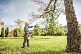 Best Organic Lawn Care Solutions  in West Islip, NY