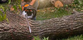 Best Aeration Services  in West Islip, NY